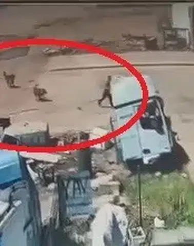 Silopi'de köpeklerin kovaladığı küçük çocuğu babası ve amcası son anda kurtardı