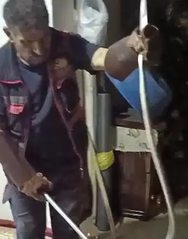 Hakkari merkezde evlere giren yılanlar mahalle sakinlerini tedirgin etti