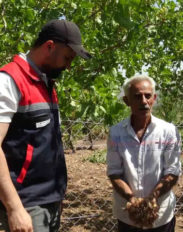 Batmanlı çiftçi internette gördüğü safranla tarlasında devrim yaptı
