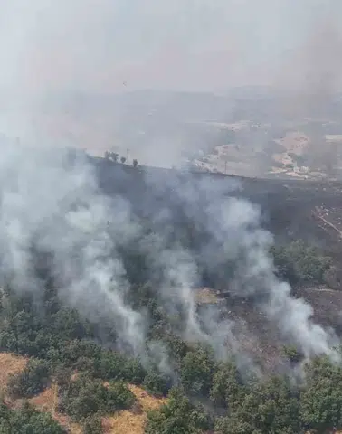 Tunceli ormanlarında çıkan yangın havadan ve karadan müdahaleyle söndürülmeye çalışılıyor
