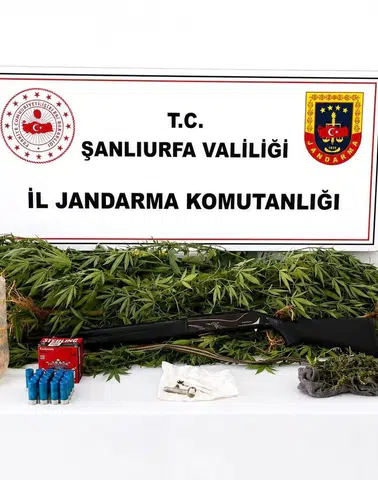 Akçakale Jandarmasından uyuşturucu ve silah operasyonu