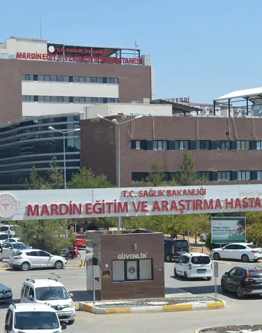 Mazıdağı ilçesinde dedesinin evinde kalan genç çocuk silahla hayatını kaybetti