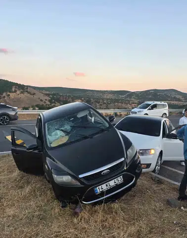 Bingöl Muş Karayolunda İki Otomobil Çarpıştı