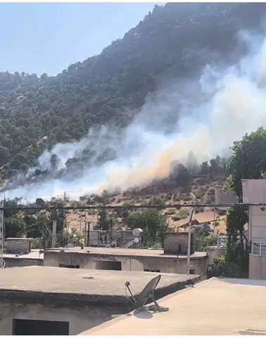 Siirt Baykan'daki orman yangını ekiplerin hızlı müdahalesiyle söndürüldü