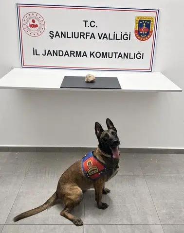 Şanlıurfa'da jandarmadan uyuşturucu operasyonu, bir kişi tutuklandı
