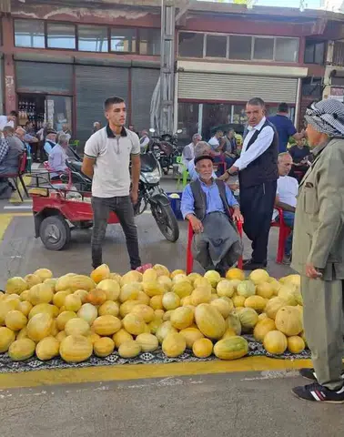 Diyarbakır Çermik kavunu sezonu açtı