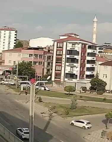 Elazığ'da el freni unutulan otomobil caddeyi aşarak tarlaya girdi