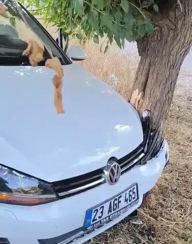 Elazığ Bingöl yolunda otomobil ağaca çarptı iki kişi yaralandı