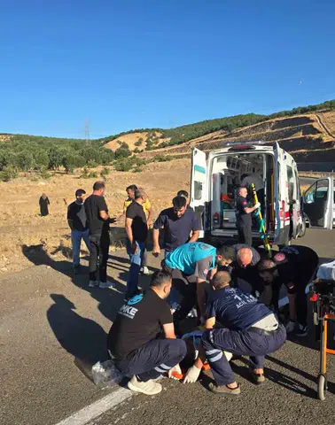 Bingöl'de kontrolden çıkan kamyonet şarampole devrildi