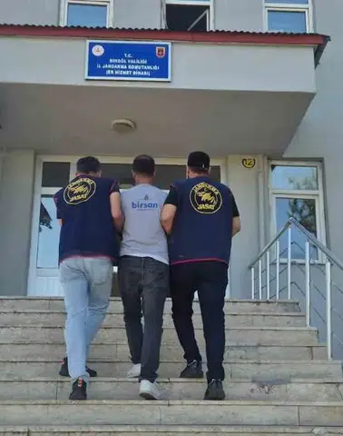 Bingöl jandarmasından geniş çaplı operasyon