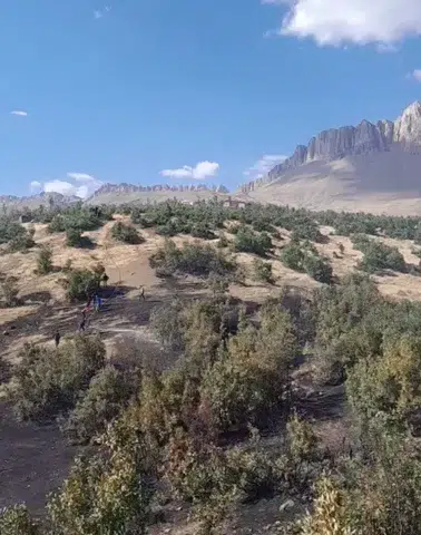 Beytüşşebap ormanlarında korkutan yangın