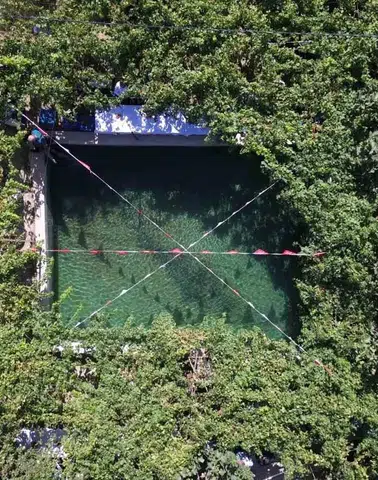 Siirt'in tescilli tayfi üzümü hasadı başladı ve yaprakları Avusturya'ya ulaşıyor