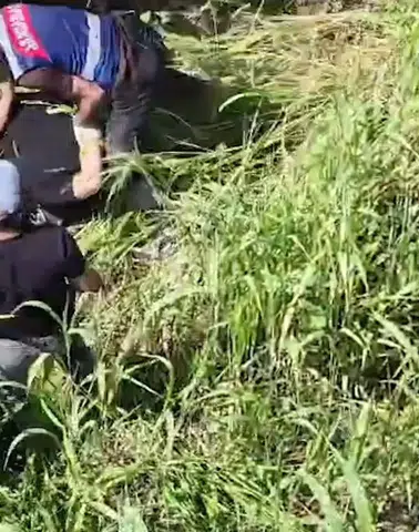 Akçakale'de telefon dolandırıcıları mısır tarlasında dronla yakalandı