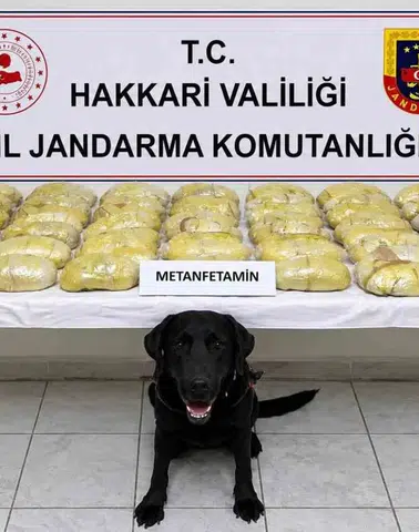 Hakkari yol kontrolünde yüklü miktarda uyuşturucu yakalandı