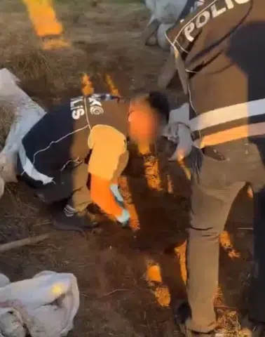 Genç ilçesinde düzenlenen operasyonda yüklü miktarda esrar yakalandı