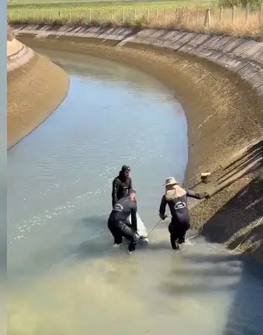 Şanlıurfa'da sulama kanalına giren 14 yaşındaki Yusuf hayatını kaybetti