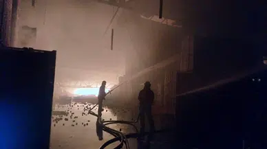 Elazığ’da güvercinler donarak telef oldu