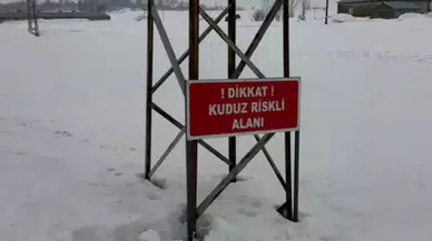 Hakkari’de eşekte kuduz tespit edildi, köy karantinaya alındı