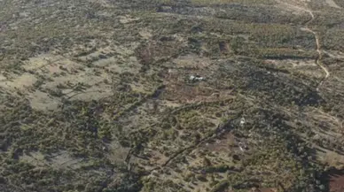 Dicle'deki GES projesi yargıya taşındı: Binlerce ağacın kesileceği iddiası