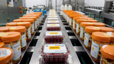 Gıda paketlemede tehlike: Toksik kimyasallar sağlığı tehdit ediyor