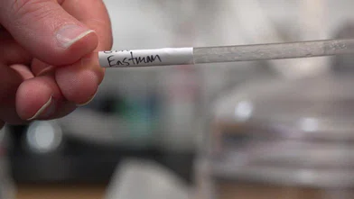 Bilim insanları kağıttan daha hızlı çözünen plastik geliştirdi