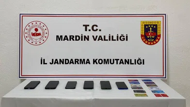 Diyarbakır dahil 4 ilde internet dolandırıcılığı operasyonu