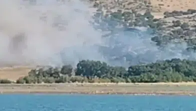 Silvan kırsalında yükselen alevler ekiplerin müdahalesiyle söndürüldü