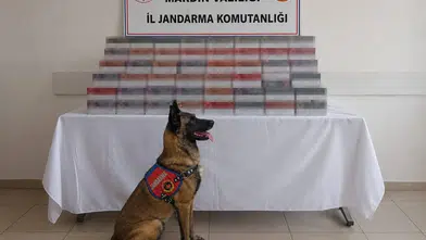 Mardin genelinde düzenlenen operasyonlarda 8 milyon liralık kaçak ürün yakalandı