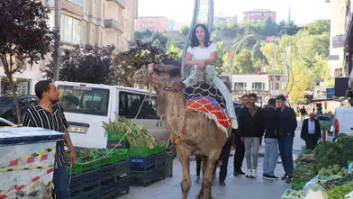 Hakkari çarşısında deve ve midilli sürprizi
