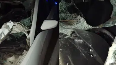 Bingöl yolunda inek kazası dört kişiyi hastanelik etti