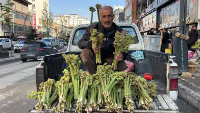 Yüksekova pazarlarında yayla muzu bereketi