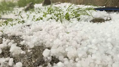 Muş Hasköy’de aniden bastıran dolu hayatı durdurdu