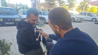 Elazığlı esnafın dükkanında beslediği oğlak mahallenin neşe kaynağı oldu