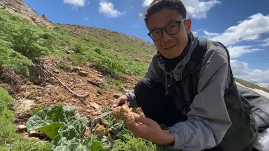 Japon gezginin Yüksekova rotası ters lalelerde bitti