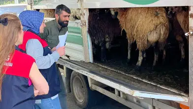 Elazığ yollarında kurbanlık denetimi mesaisi başladı