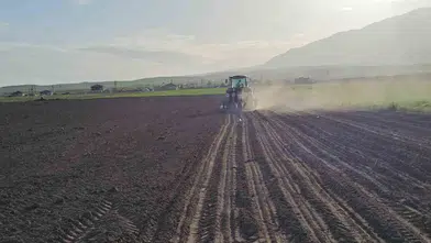 Adilcevaz ovasında şeker pancarı mesaisi başladı
