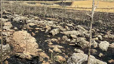 Diyarbakır Çınar’da ekinler alevlere teslim oldu