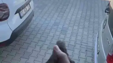 Genç ilçesinde sıkışan küçük kuş itfaiye yardımıyla özgürlüğüne kavuştu