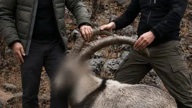 Siirtte yasa dışı yaban keçisi avlayanlara altı yıl sonra ceza kesildi