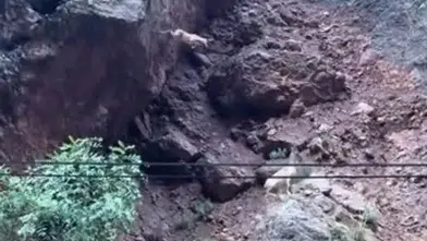 Munzur Vadisinde sarp kayalıkları aşan dağ keçileri görüntülendi