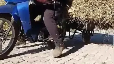Yüksekovalı çiftçi araç bulamayınca motosikletle ot taşıyarak çözüm üretti