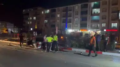 Elazığ Kovancılar'da köpeğe çarpan otomobil direğe girdi