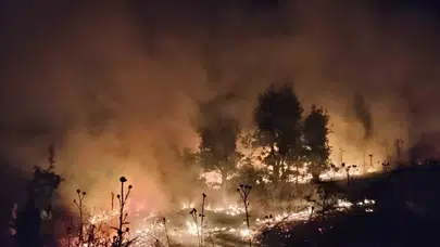 Şırnak Bestler Dereler bölgesinde devasa buğday tarlası alevlere teslim oldu