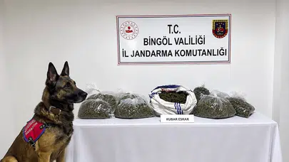 Bingöl Jandarması bir haftalık operasyonlarda suçlulara göz açtırmadı