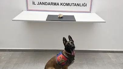 Şanlıurfa'da jandarmadan uyuşturucu operasyonu, bir kişi tutuklandı
