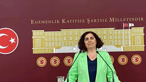 Sevilay Çelenk, Narin Güran davasını Meclis gündemine taşıdı