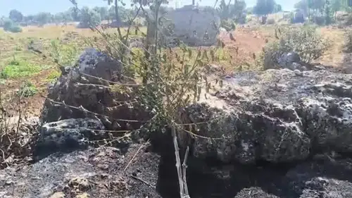 Diyarbakır Dicle kırsalında çıkan yangın meyve bahçelerine büyük zarar verdi