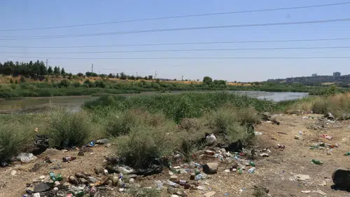 Dicle Nehri kıyısındaki plastik atıklar doğaya ve canlılara zarar veriyor