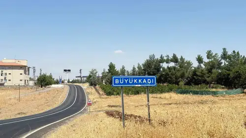 Diyarbakırda sokak kedisinin ısırdığı dört yaşındaki çocuk kuduz şüphesiyle yoğun bakımda