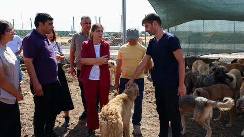 Eşbaşkan Bucak, Doğal Yaşam Alanı’ndaki canlıları inceledi